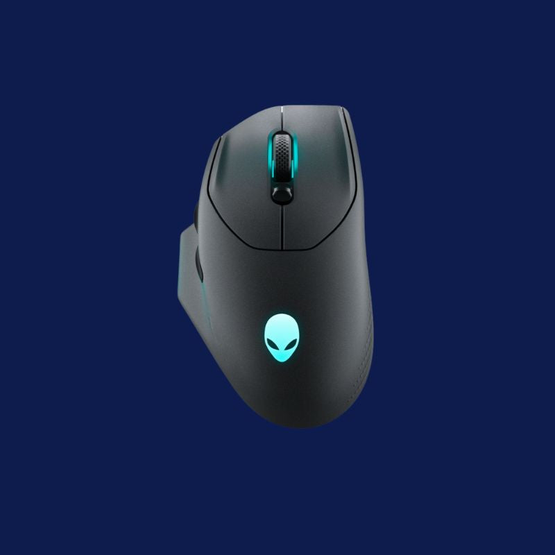 Mouse